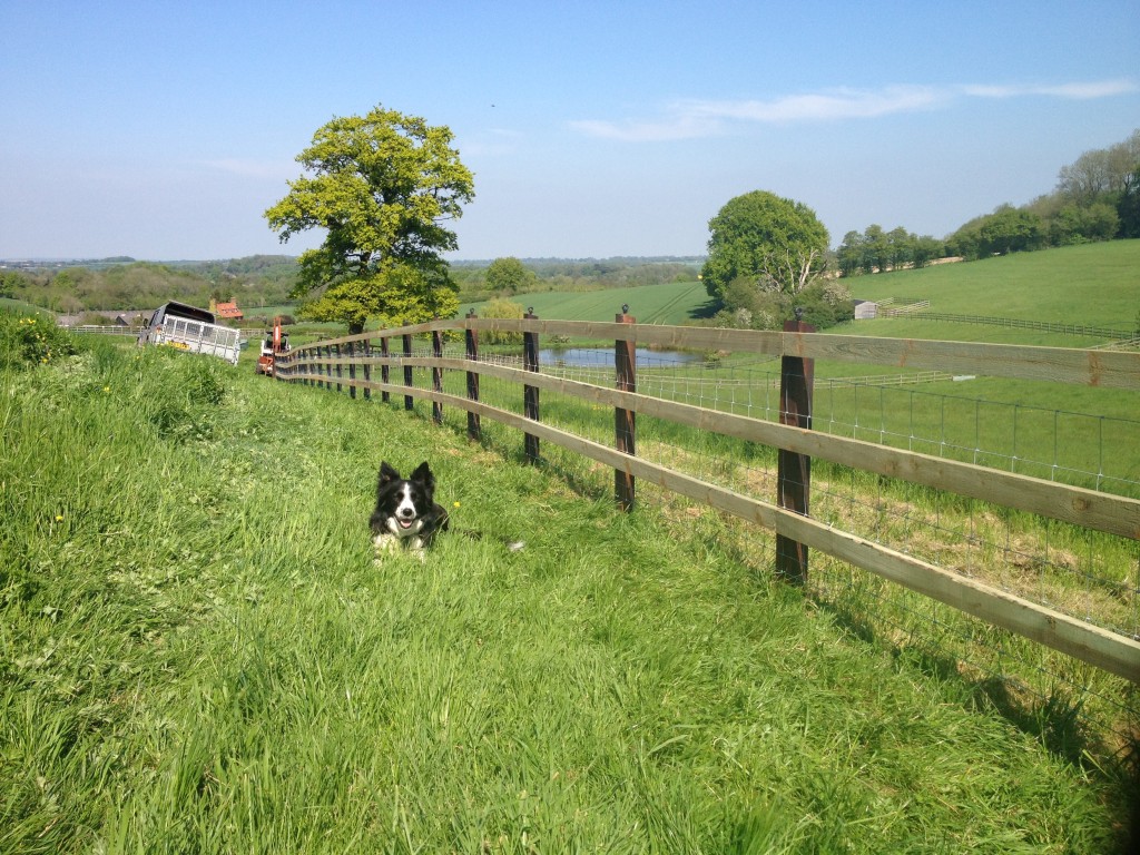 Equine / Horse Fencing Richard Stubbs Fencing Services