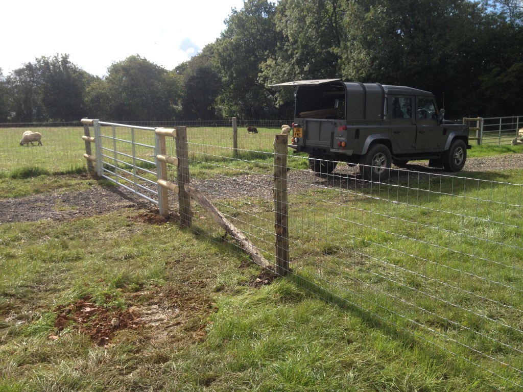Sheep and horse fencing... Richard Stubbs Fencing Services