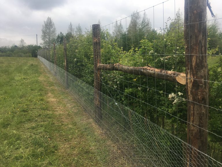 Rabbit Fencing Richard Stubbs Fencing Services